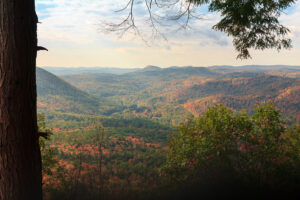 Autumn view framed by hemlock trees of the rolling hills of the West River valley in southern Vermont